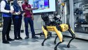 “BMW” müəssisələrində “robot itlərdən” istifadə edəcək - Video
