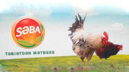 “Səba” külli miqdarda borc içində - Rəhbəri dəyişdi