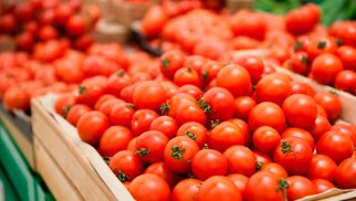 Pomidorun Azərbaycan iqtisadiyyatındakı yeri – RƏQƏMLƏR
