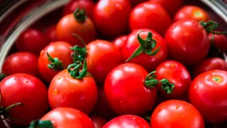 Rusiya 18 gündə 50 ton pomidoru Azərbaycana geri qaytarılıb