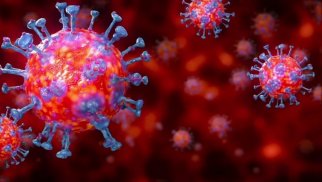 Almaniya hökumətindən yeni növ koronavirusla bağlı kritik mesaj