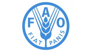 Azərbaycan ilə FAO arasında əməkdaşlıq genişləndirilir