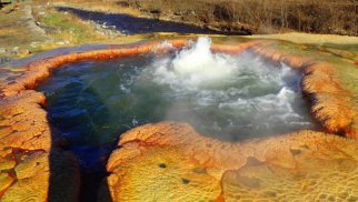 Qarabağda həm mineral, həm də termal su yataqları mövcuddur - Əli Əliyev