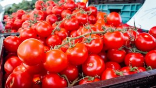 Rusiya Türkiyədən pomidor idxalı üçün kvotanı artıracaq