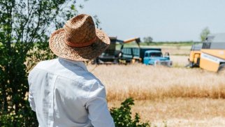 Bəzi fermerlər əkin bəyanlarını düzgün təqdim etmirlər – AKİA rəsmisi