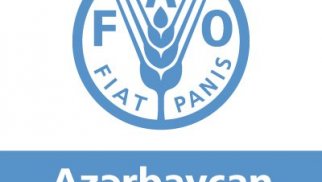 FAO Azərbaycanda fındıqçılığın inkişafına dəstək verir