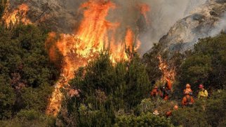 Dövlət qurumlarından meşə yanğınları ilə bağlı əhaliyə MÜRACİƏT