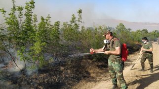 Bu rayonlarda baş vermiş yanğınların səbəbləri araşdırılır - FHN (FOTO-VİDEO)