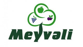 Məşhur “Meyvəli” məhkəməyə verildi – SƏBƏB