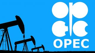 OPEC: Azərbaycanda kondensat istehsalı artıb
