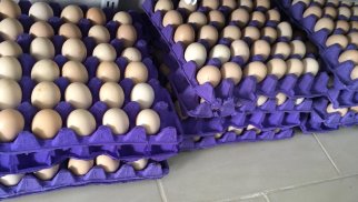 Azərbaycan Əfqanıstana quş yumurtası da satırmış: MƏBLƏĞ AÇIQLANIR 