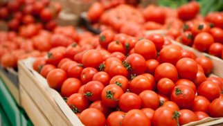 Apreldə Azərbaycandan Moskva regionuna 4,6 min tona yaxın pomidor tədarük edilib