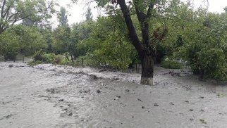 Zaqatalanın kəndləri sel suları altında qaldı, yol bağlandı (FOTOLAR)