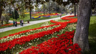 İstanbul məşhur Lalə mövsümünə hazırdır (FOTOLAR)