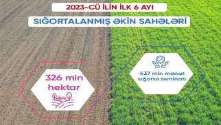 Aqrar Sığorta Fondu ilin ilk 6 ayı ərzində 326 min hektar əkin sahəsini sığortalayıb