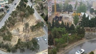 Bakıda parkda yaşıllıqları qurudub restoran tikmək istədilər (FOTO/VİDEO)