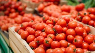 Bazarlarda pomidor 50 qəpiyə satılır? (VİDEO)