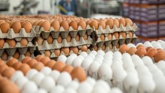 Yumurtanın qiyməti ətrafında yaranan ajiotajın səbəbi nədir? (ŞƏRH)