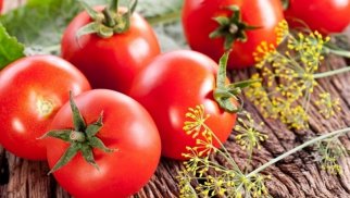 Pomidoru xarab olmaması üçün ucuz satırlar – Ekspert