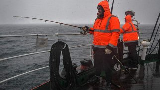 Rusiya Britaniyaya Barents dənizində balıq tutmağı qadağan edəcək