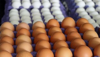 Ötən ay Rusiyaya 4 milyondan çox yumurta ixrac etmişik