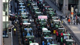 Slovakiyada fermerlər Aİ-nin kənd təsərrüfatı siyasətinə qarşı etirazlara qoşulur