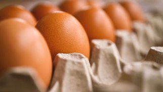 Azərbaycan və Türkiyə Rusiyaya 20 milyona yaxın yumurta ixrac edib