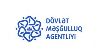 Dövlət Məşğulluq Agentliyi məhkəməlik oldu