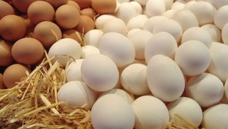 Martın 18-dən 24-dək Azərbaycan Rusiyaya 3,9 milyon yumurta göndərib