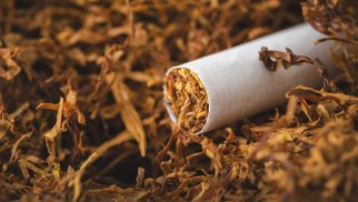 Azərbaycanın Türkiyədən tütün alışında 3 milyonluq azalma