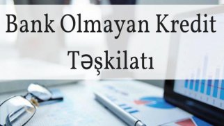 Azərbaycanda kredit təşkilatının xalis mənfəəti azalıb