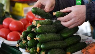 Paytaxt bazarlarında xiyar və pomidorun bahalaşmasının səbəbi nədir? (VİDEO)