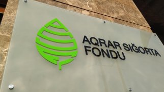 “Aqrar Sığorta”nın biznes itkiləri 2 milyon manata yaxınlaşıb