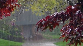 Bəzi yerlərə leysan yağıb, ən yüksək temperatur 36 dərəcə olub - FAKTİKİ HAVA