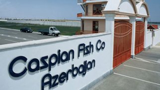 "Caspian fish co Azerbaijan" məcburi auditdən yayınıb