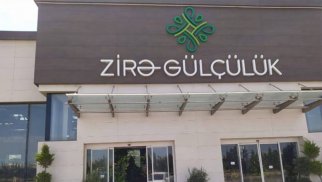 "Zirə Gülçülük" məcburi auditdən yayınıb