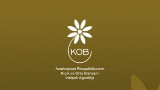 60-a yaxın KOB subyektinin satışına dəstək göstərilib