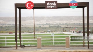 Mərkəzi Bank "Dost Aqropark"a protokol yazdı