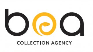 “BOA AGENCY” kredit götürəcək