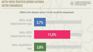 Aktiv ƏDV ödəyicilərinin sayı 11,5% artıb