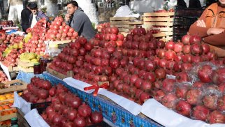 Azərbaycan meyvələri üçün YENİ BAZARLAR