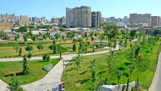 Bakının 7 rayonunda parklar yenidən qurulacaq
