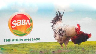 “Səba” külli miqdarda borc içində - Rəhbəri dəyişdi