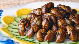 Bu ölkə Azərbaycana ədədi 170 manatdan həşərat satıb