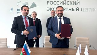 Azərbaycan Dağıstanda gündə 100 ton zeytun yağı emal edəcək zavod qurur