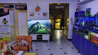 Aylıq gəliri 6 mindən çox olan Zoo mərkəz satılır - QİYMƏT