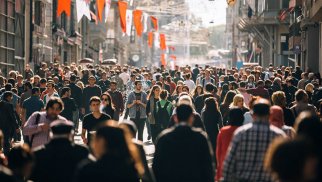 Bandvagon effekti - Kütlə bazar qiymətlərini necə formalaşdırır?