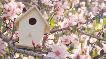 Mart ayında hava necə olacaq? - PROQNOZ