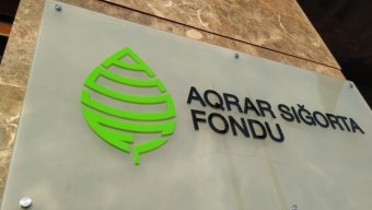 Aqrar sığorta üzrə müstəqil ekspertlərə nə qədər pul ödəniləcək? - AÇIQLAMA