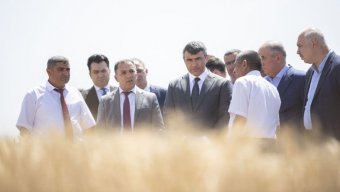 Qobustanda toxumçu fermerlərə yeni yerli və xarici taxıl sortları nümayiş olundu - FOTOLAR